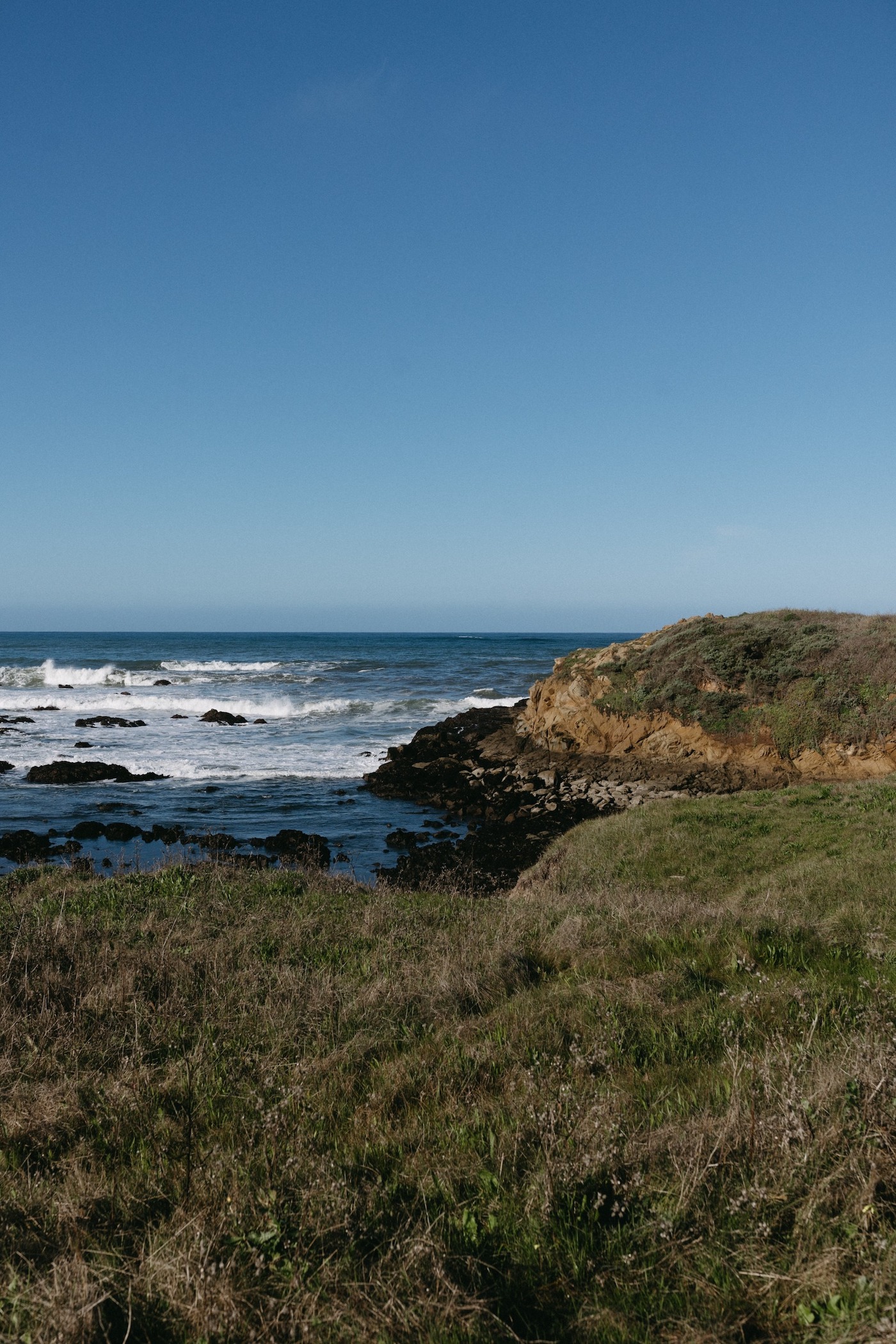 a grassy hillside overlooking the ocean